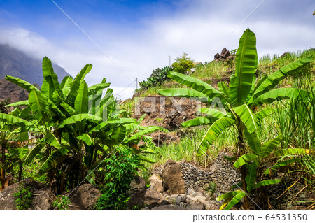Paul Valley landscape in Santo Antao island, Cape Paul Valley landscape in Santo Antao island, Cape 64531350