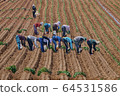 Farming work 64531586
