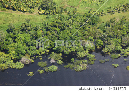 亞馬遜河的風景 亞馬遜河的風景 64531735