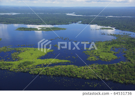 亞馬遜河的風景 亞馬遜河的風景 64531736