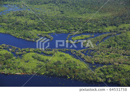 亞馬遜河的風景 64531738