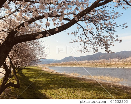 Spring scenery 64532203