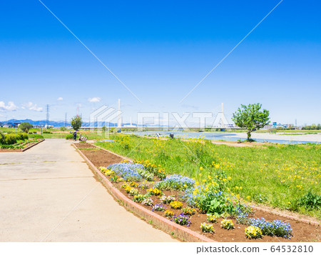 Spring Tamagawa 64532810