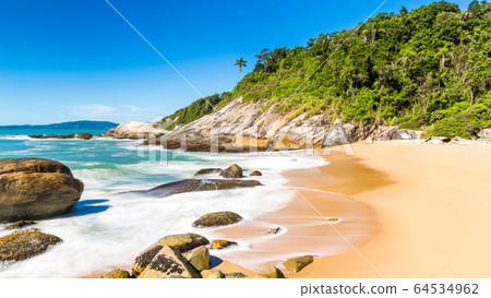 Beach in Balneario Camboriu, Santa Catarina, 64534962
