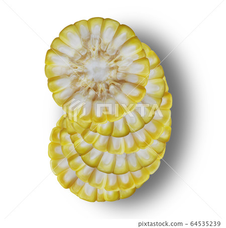 Half of the corn on the white background Half of the corn on the white background 64535239