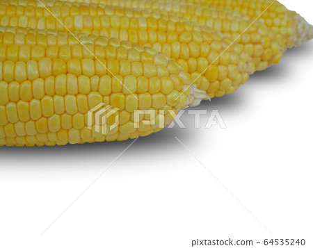 Corn on the white background Corn on the white background 64535240