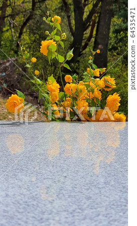 Flower image 64535471