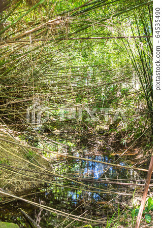 Saco do Mamangua, a tropical fiord in Paraty, Rio 64535490