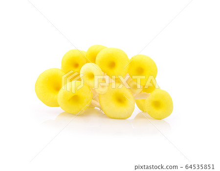 Yellow mushrooms  isolated on white background.Fresh high protein. 64535851