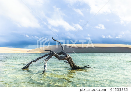 Lencois Maranhenses, National Park, Maranhao, 64535883