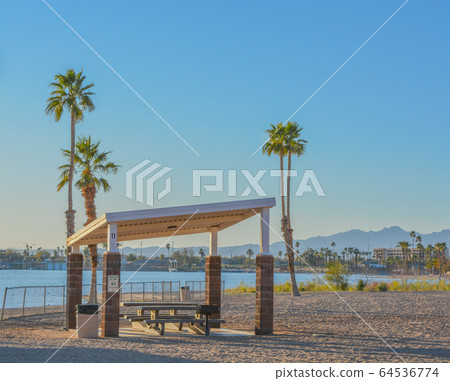 Barbecue and Picnic Table under a shade canopy and Palm Trees in Rotary Community Park, Lake Havasu, Mohave County, Arizona USA Barbecue and Picnic Table under a shade canopy and Palm Trees in Rotary Community Park, Lake Havasu, Mohave County, Arizona USA 64536774