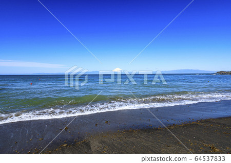 Shonan (Spring) 64537833