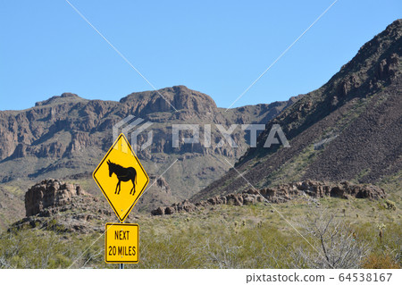 Wild Burros Sign in the Black Mountain Range, Sonoran Desert, Arizona USA Wild Burros Sign in the Black Mountain Range, Sonoran Desert, Arizona USA 64538167