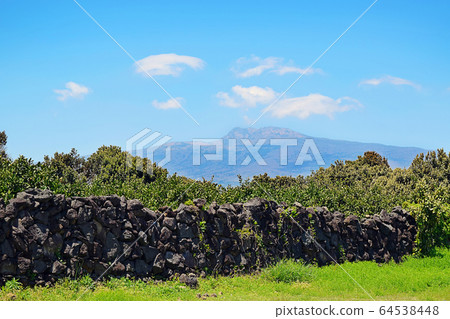 濟州島漢拏山的美麗 濟州島漢拏山的美麗 64538448