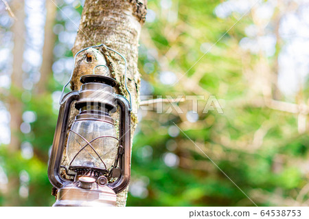 Camping material Oil lantern hanging on a tree Camping material Oil lantern hanging on a tree 64538753