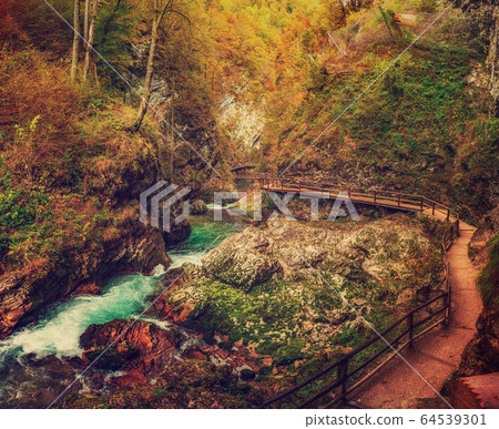 Vintgar gorge, Slovenia 64539301