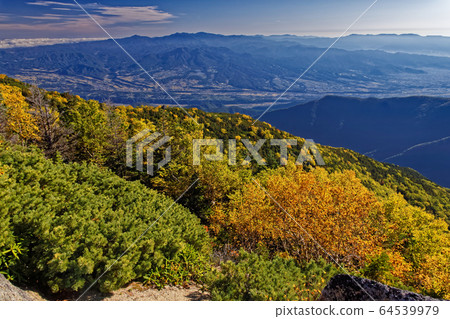 Yellow leaves of Betula birch and mountain range of Oku-Chichibu in the Southern Alps, Phoenix Sanzan, Yakushidake 64539979