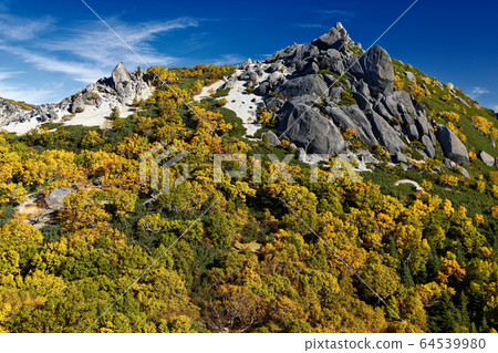 Yellow leaves of the southern alps, phoenix Sanzan, Yakushidake and Betula kanba seen from the vicinity of Yakushidake hut 64539980
