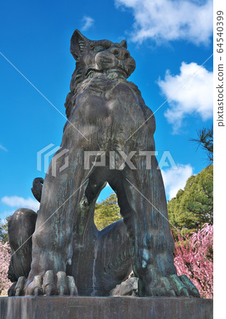 [Komagu at Yuki Shrine] Fujikata, Tsu City, Mie Prefecture 64540399