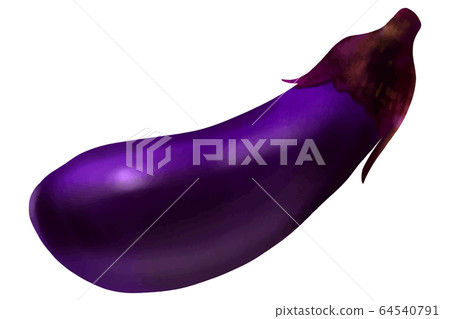 Eggplant Eggplant 64540791