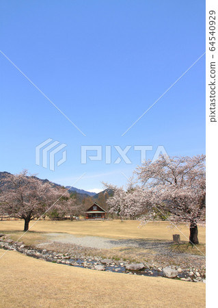 春天的Azumino Chihiro公園 64540929