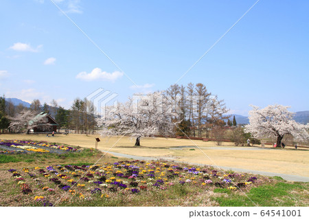 Spring's Azumino Chihiro Park 64541001