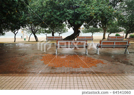 Wooden bench under tree at rainy day in Shek o beach, Hong Kong 64541060