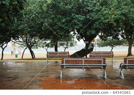 Wooden bench under tree at rainy day in Shek o beach, Hong Kong 64541061