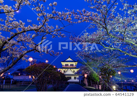 宮城縣戶田郡和谷町春天城山公園盛開的櫻花盛開 宮城縣戶田郡和谷町春天城山公園盛開的櫻花盛開 64541129