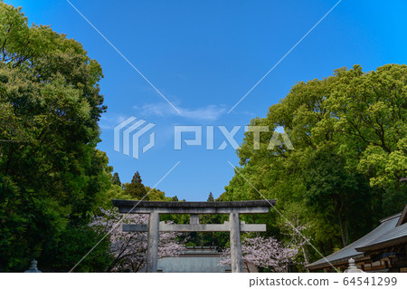 宮崎縣五國神社 64541299