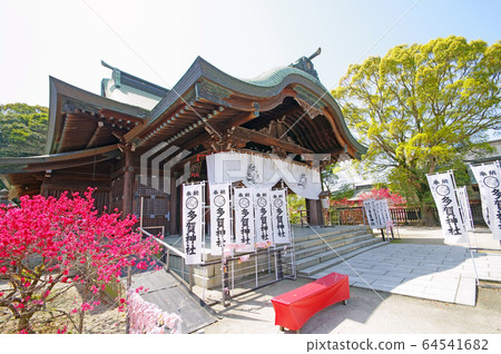 塔加神社 64541682