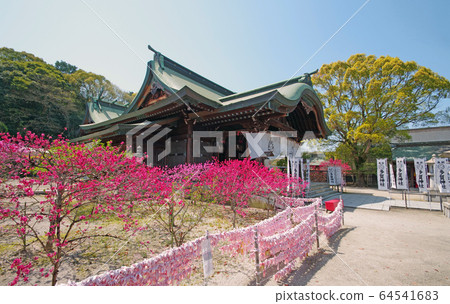 塔加神社 64541683