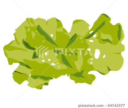 Seaweed Ana Aosa vector material 64542077