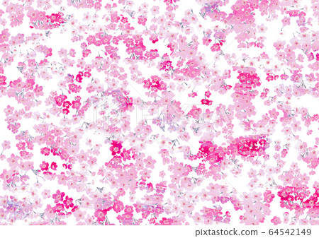 Cherry blossom Cherry blossom 64542149