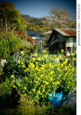 Spring mountains Spring mountains 64542335