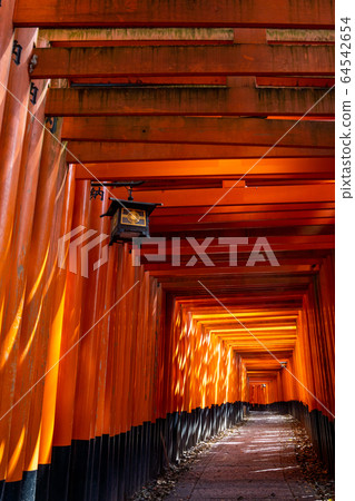 Fushimi-Inari Taisha Shrine Torii Torii 64542654
