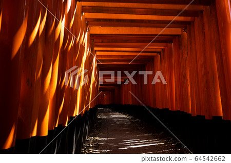 Fushimi-Inari Taisha Shrine Torii Torii 64542662