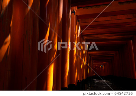 Fushimi-Inari Taisha Shrine Torii Torii 64542736