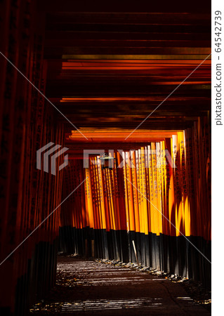 Fushimi-Inari Taisha Shrine Torii Torii 64542739