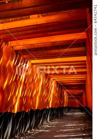 Fushimi-Inari Taisha Shrine Torii Torii 64542741