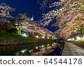 Illuminated cherry blossoms around Toyama and Matsukawa 64544178