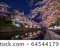 Illuminated cherry blossoms around Toyama and Matsukawa 64544179
