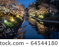 Illuminated cherry blossoms around Toyama and Matsukawa 64544180