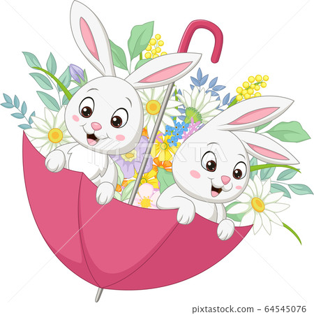animal, bunny, flower 64545076