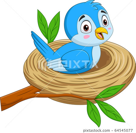 bird, blue, bluebird 64545077