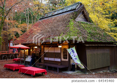 奈良公園隱居廣場1 64545460
