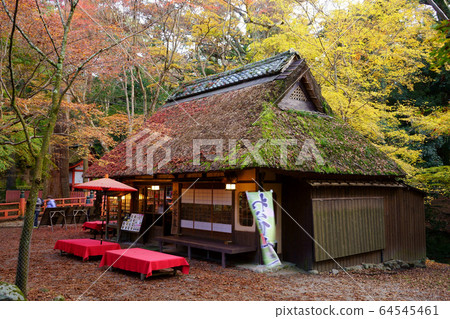 奈良公園隱居廣場2 64545461