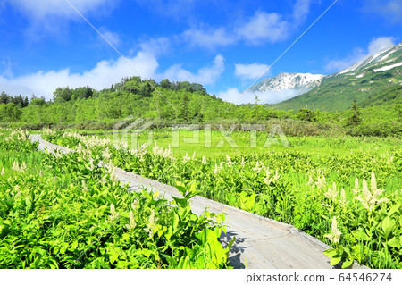 ga池自然公園的小林和白馬山山 64546274