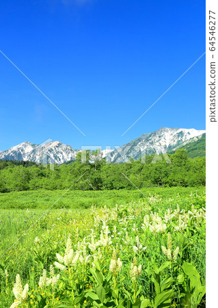 ga池自然公園的小林和白馬山山 64546277