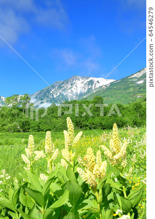 ga池自然公園的小林和白馬山山 64546279